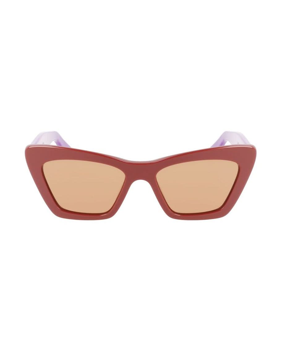 Salvatore Ferragamo Brown Acetate Sunglasses Sunglasses