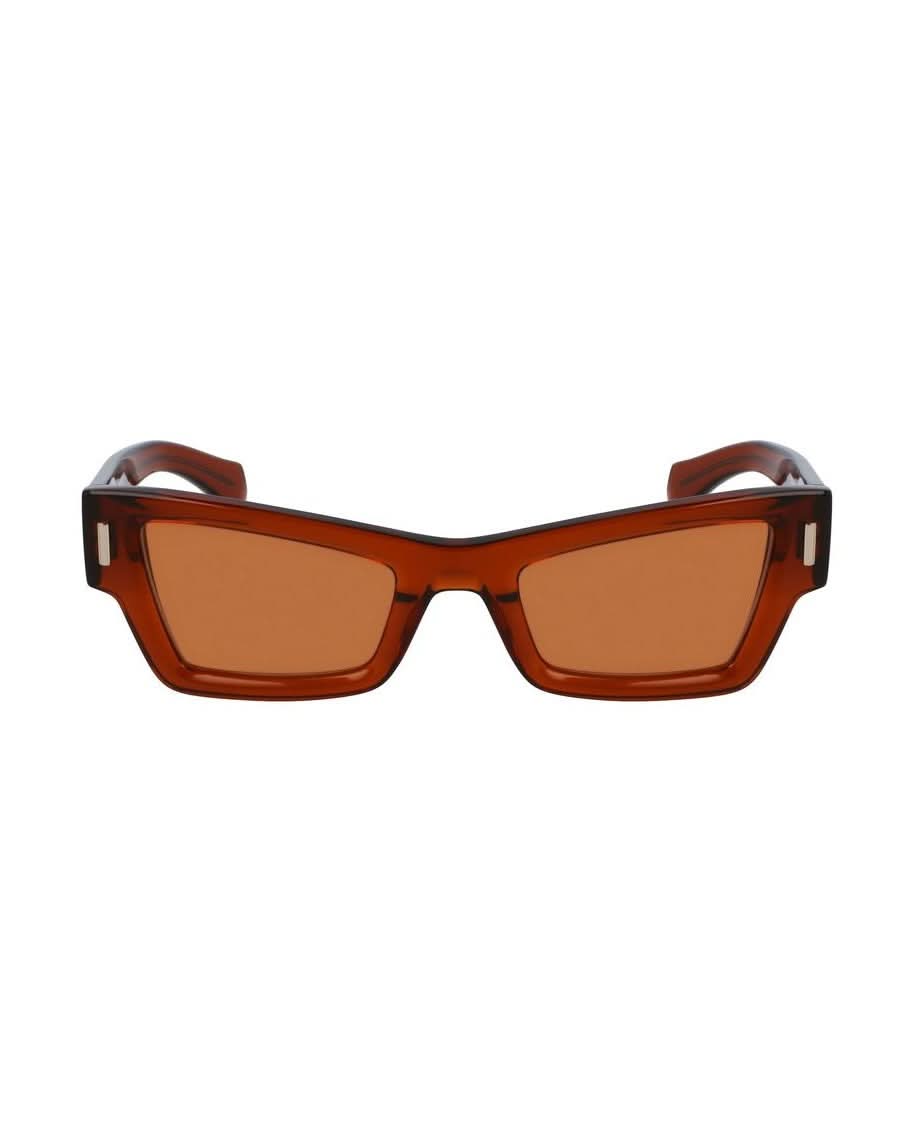 Salvatore Ferragamo Brown Acetate Sunglasses Sunglasses