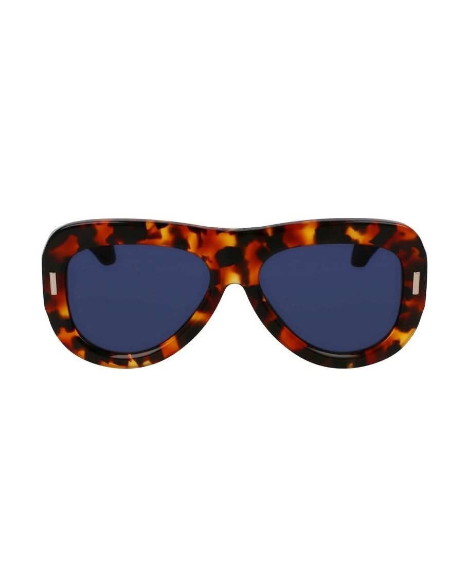 Salvatore Ferragamo Brown Acetate Sunglasses Sunglasses