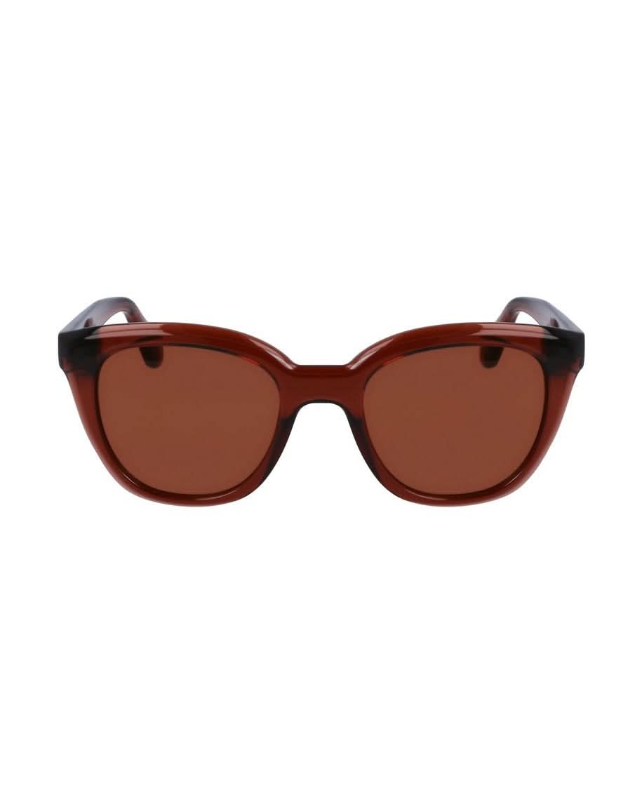 Salvatore Ferragamo Brown Injected Sunglasses Sunglasses