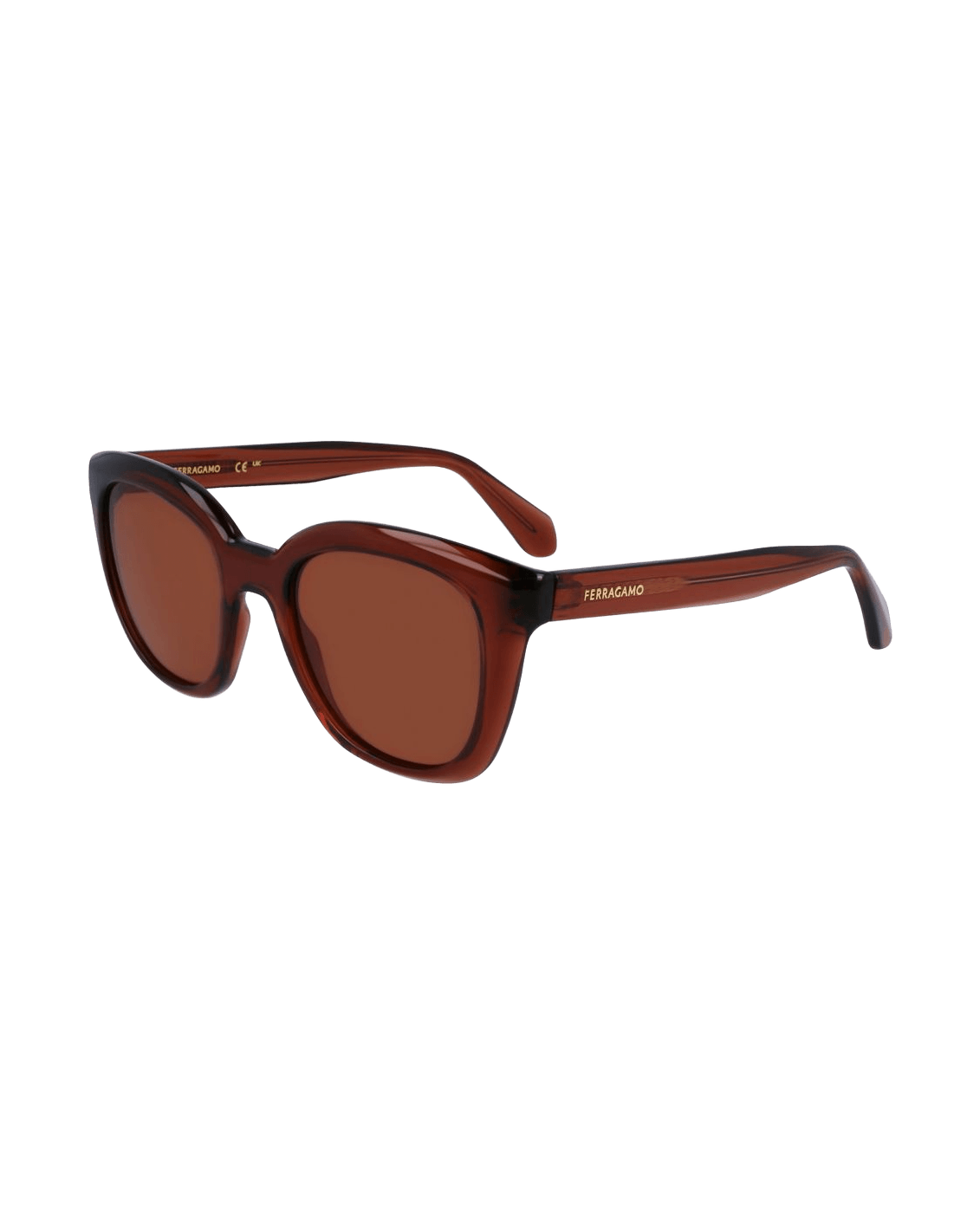 Salvatore Ferragamo Brown Injected Sunglasses Sunglasses
