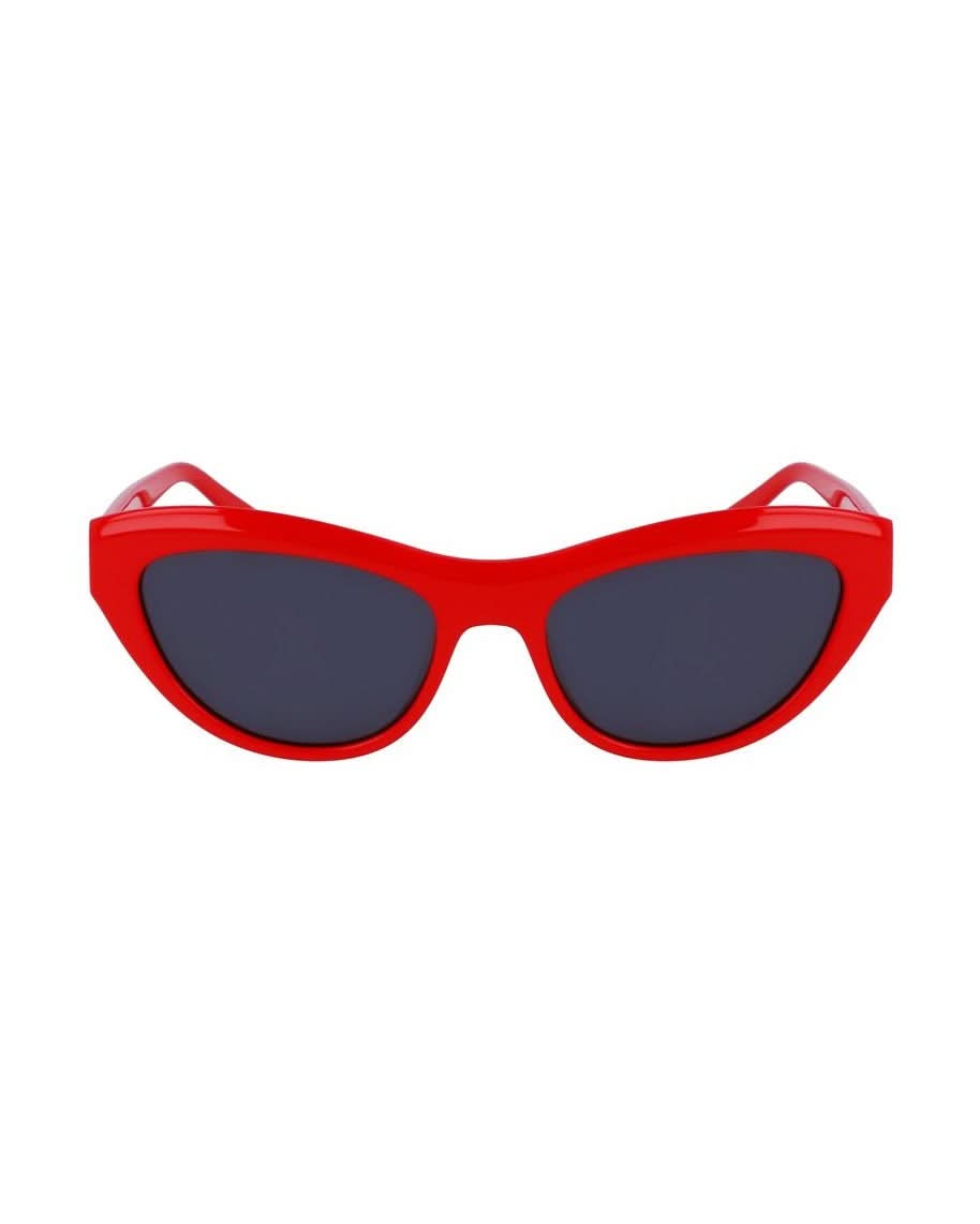 Salvatore Ferragamo Red Acetate Sunglasses Sunglasses