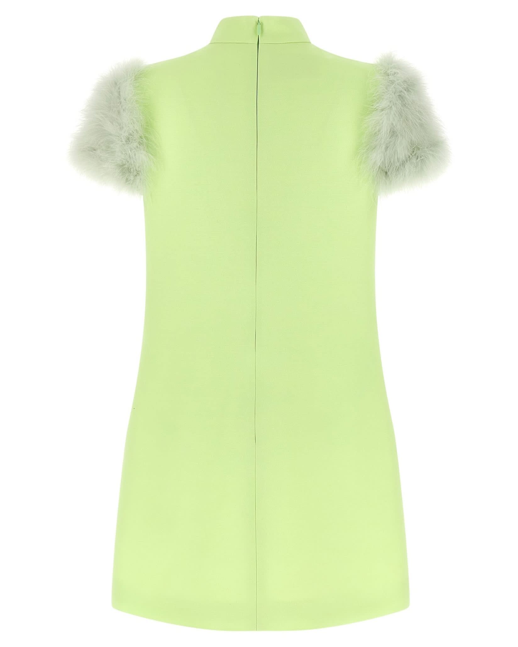 Valentino Garavani Feather Dress Glam Steals