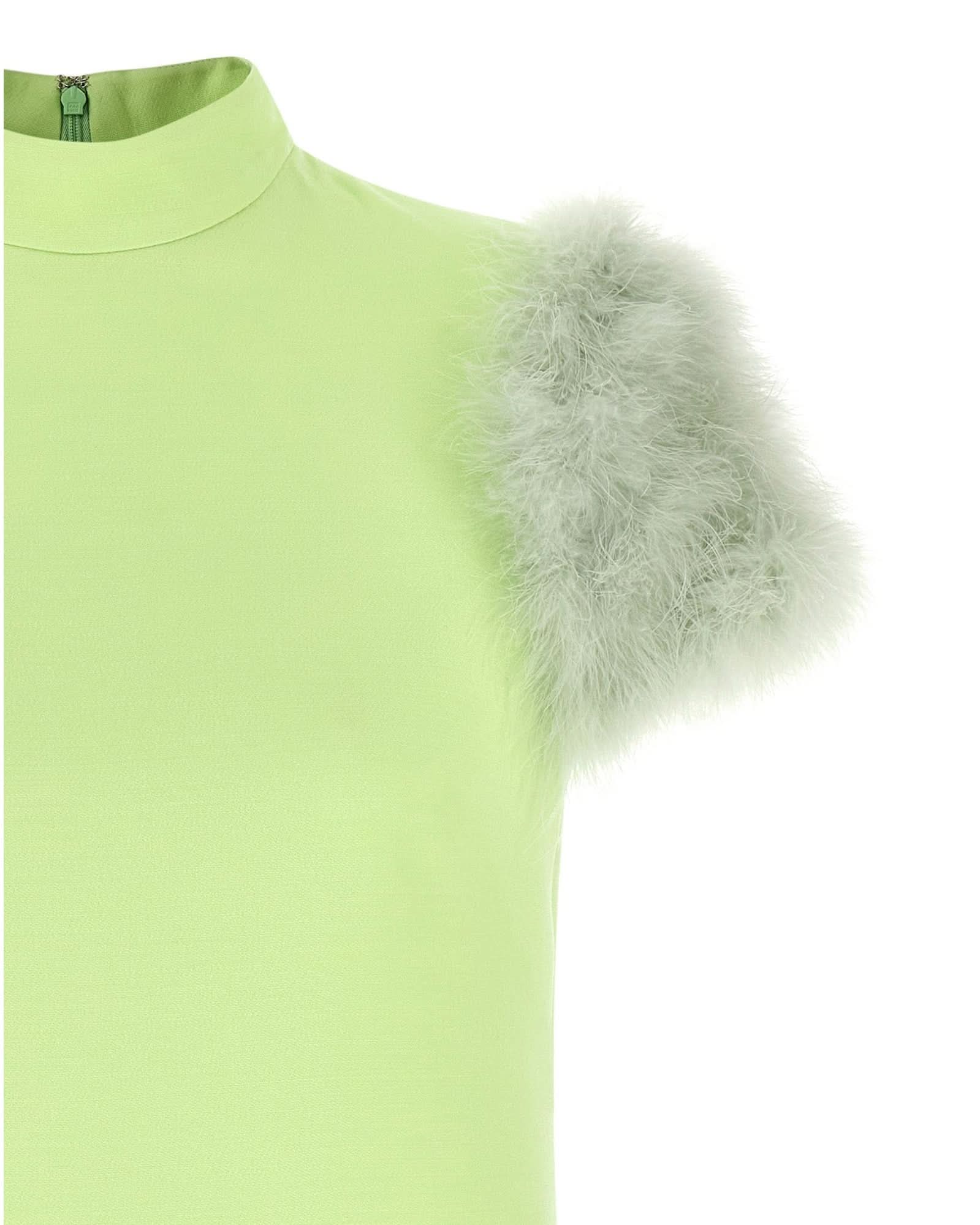 Valentino Garavani Feather Dress Glam Steals