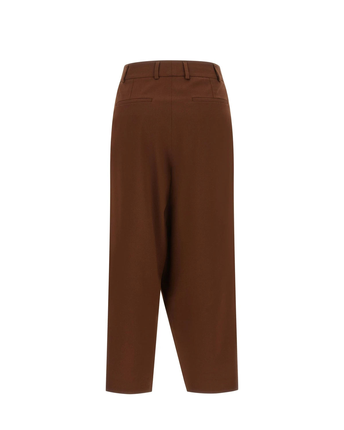 Alberto Biani Trouser in brown, Wool — view 2