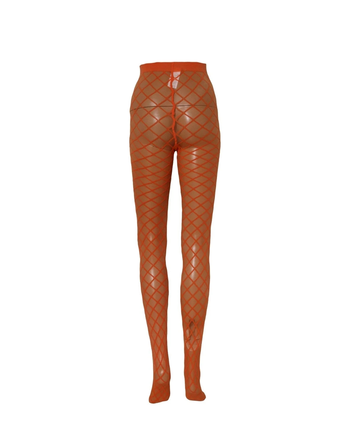 Dolce & Gabbana Pantyhose in orange, Nylon — view 4