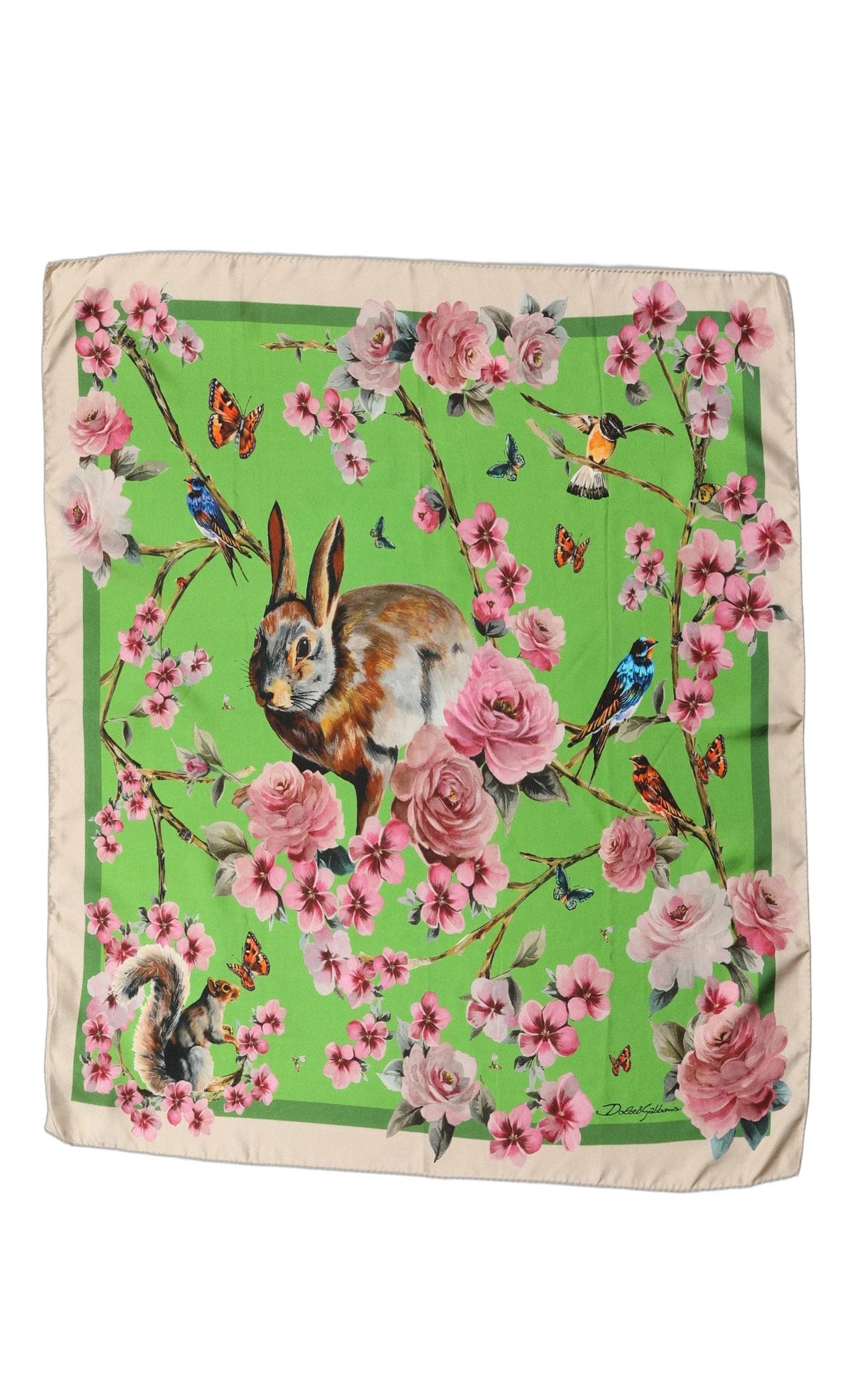 Dolce & Gabbana Scarves & Shawl in green, Silk
