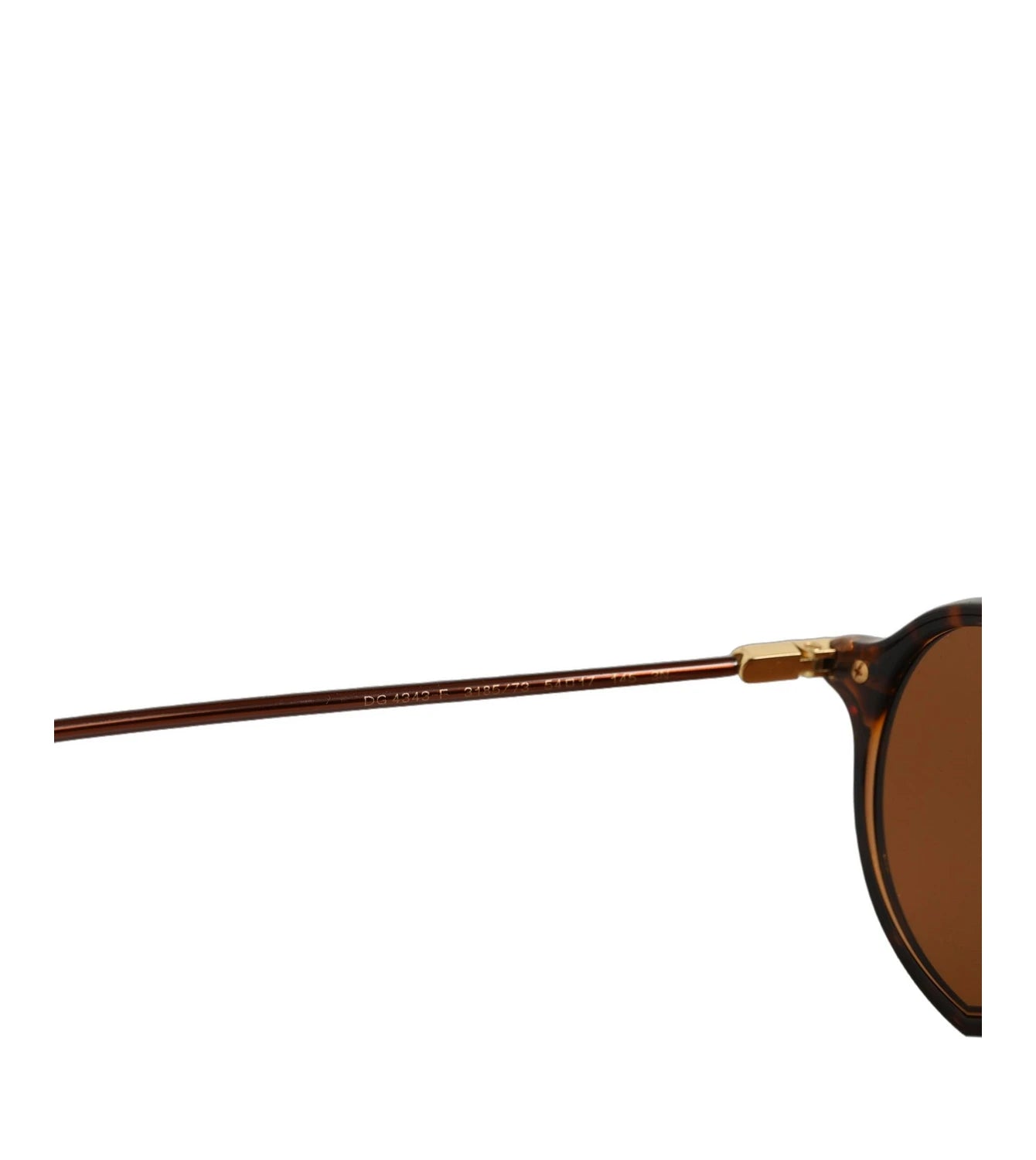 Dolce & Gabbana Sunglasse in brown, Acetate — view 6