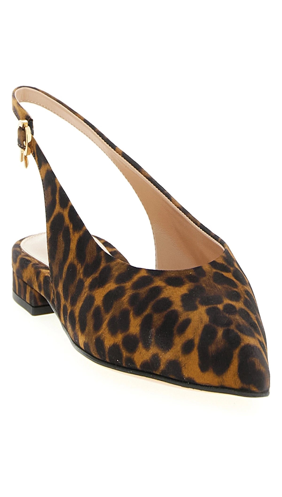 Gianvito Rossi Ballet Flats in brown, Suede Leather — view 2