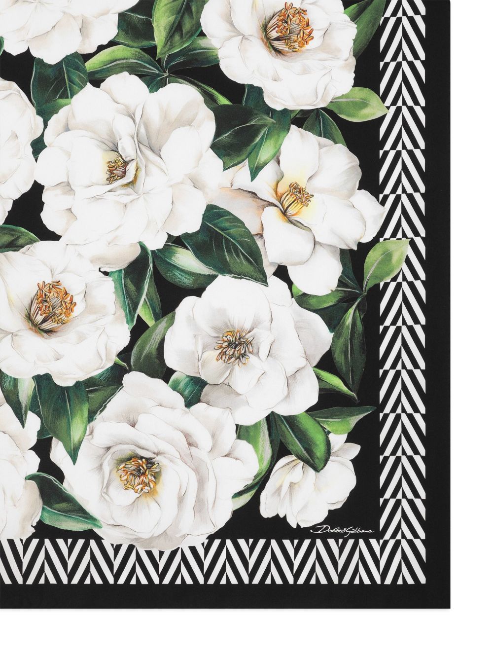 Dolce & Gabbana Black Scarf