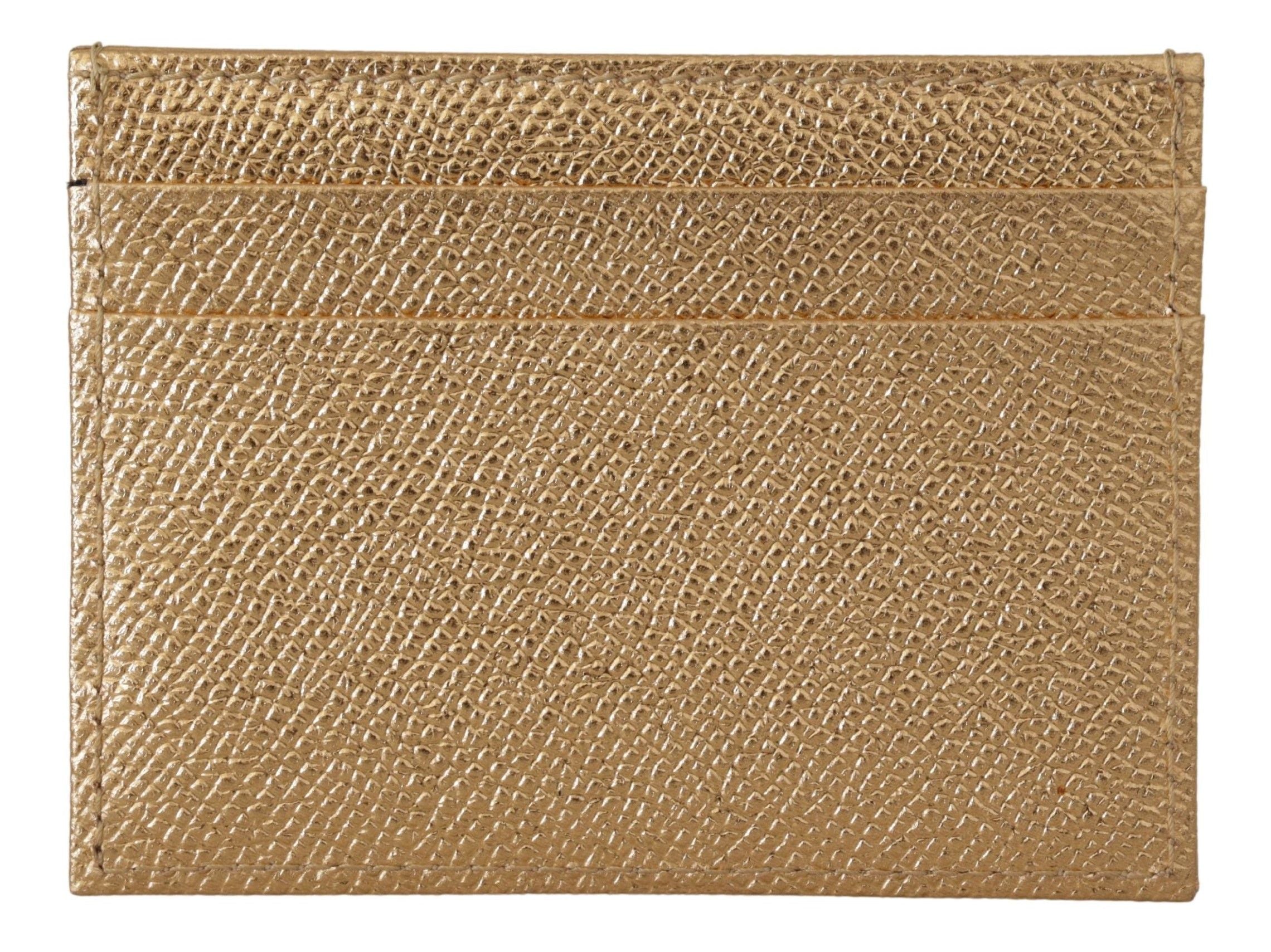Dolce & Gabbana Elegant Leather Gold Cardholder