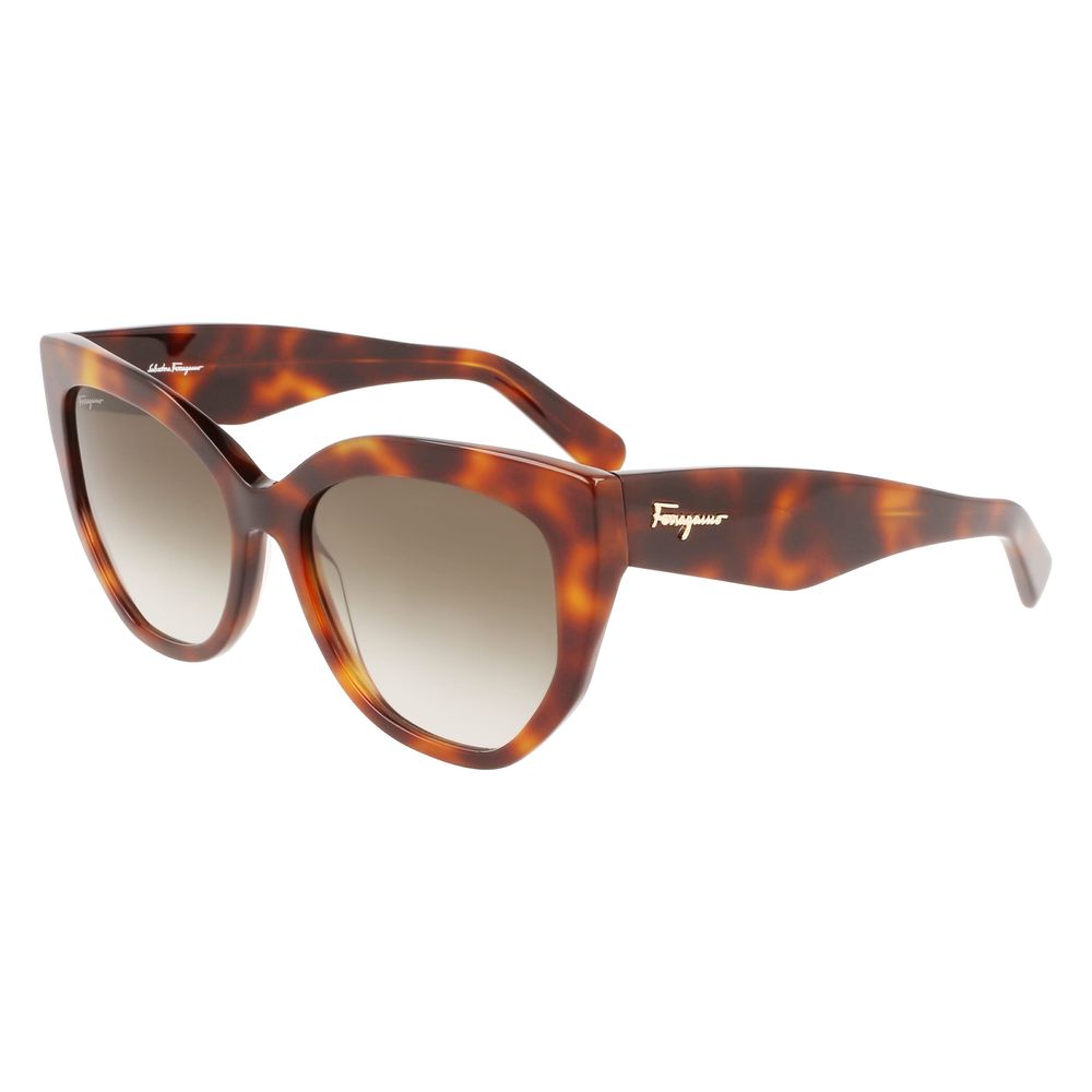 Ferragamo Acetate Brown Sunglasses