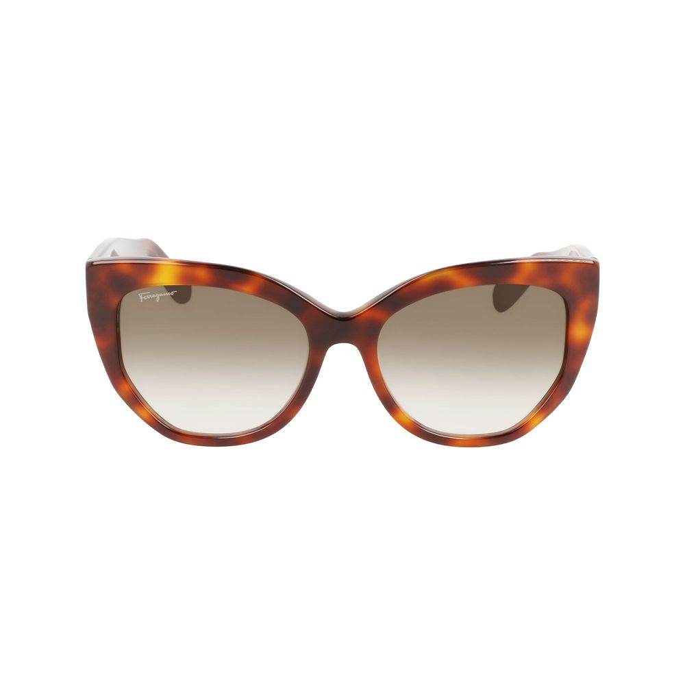 Ferragamo Acetate Brown Sunglasses