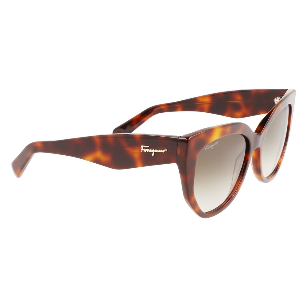 Ferragamo Acetate Brown Sunglasses