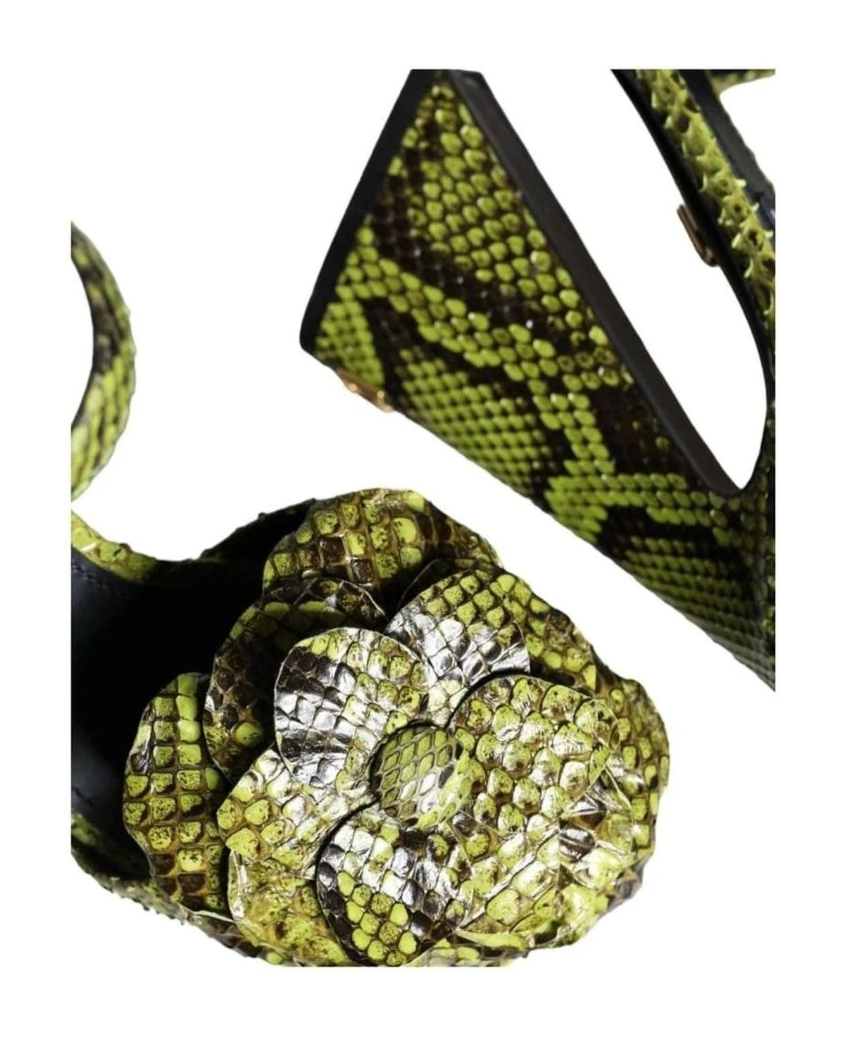 Dolce & Gabbana Green Exotic Leather Ankle Strap Heels Sandals Shoes Heels