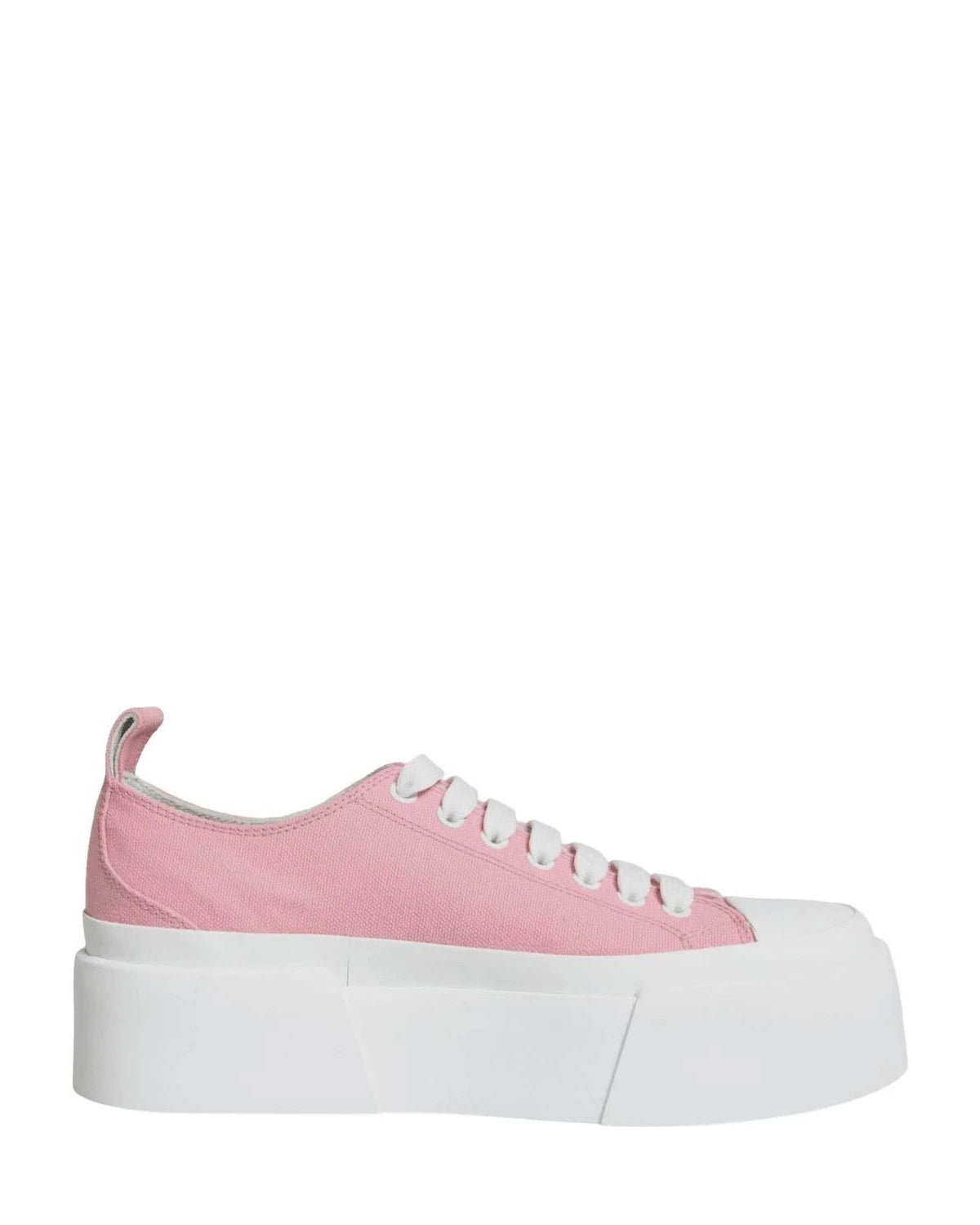 Dolce & Gabbana Pink Canvas Logo Low Top Sneakers Shoes Sneakers