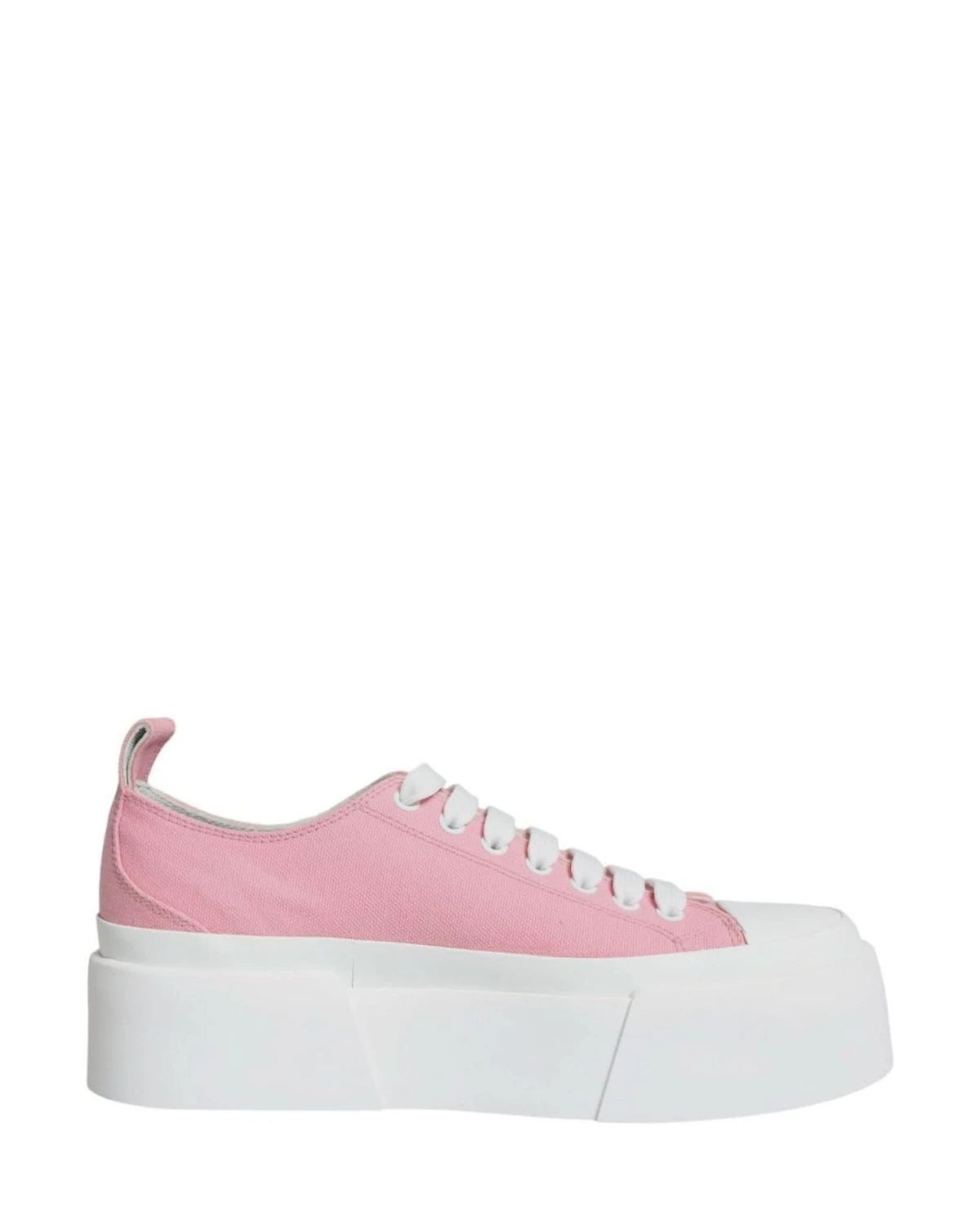 Dolce & Gabbana Pink Canvas Logo Low Top Sneakers Shoes Sneakers