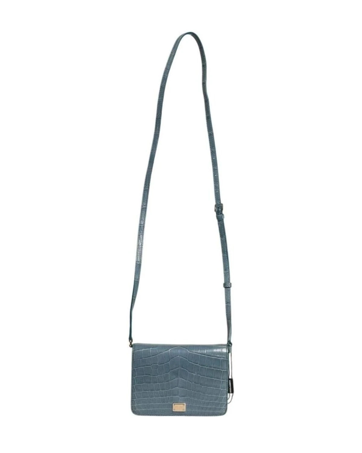 Dolce & Gabbana Green Leather Exotic Dg Plaque Crossbody Mini Bag Cross Body Bags