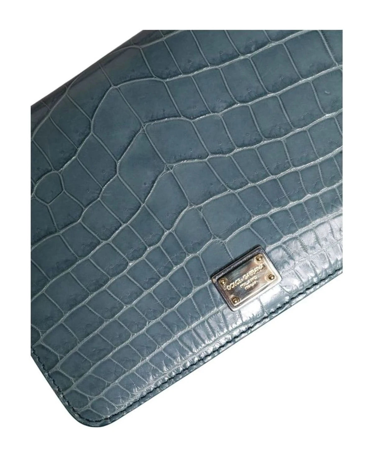 Dolce & Gabbana Green Leather Exotic Dg Plaque Crossbody Mini Bag Cross Body Bags
