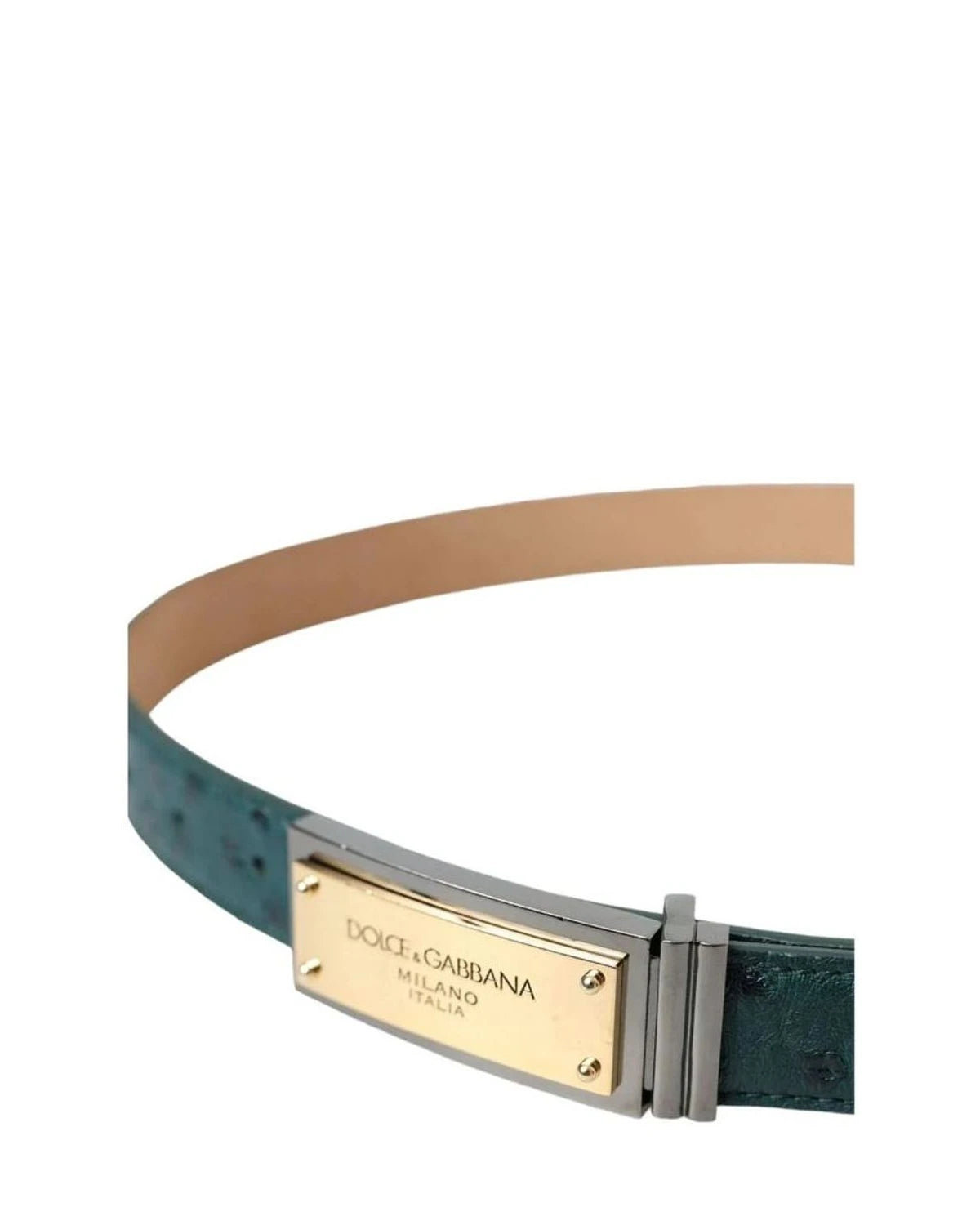 Dolce & Gabbana Belts in green — view 3