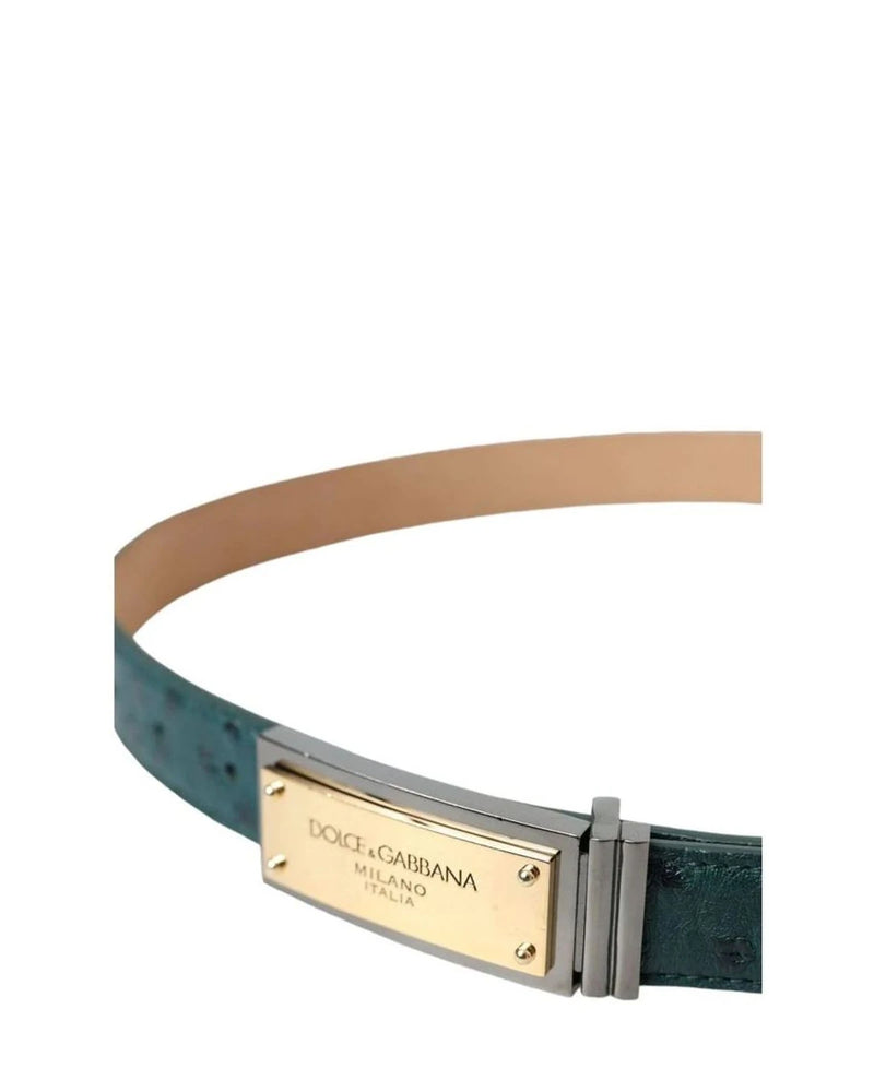 Dolce & Gabbana Belts in green — view 3