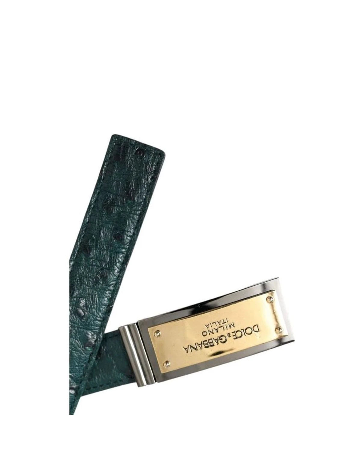 Dolce & Gabbana Belts in green — view 4