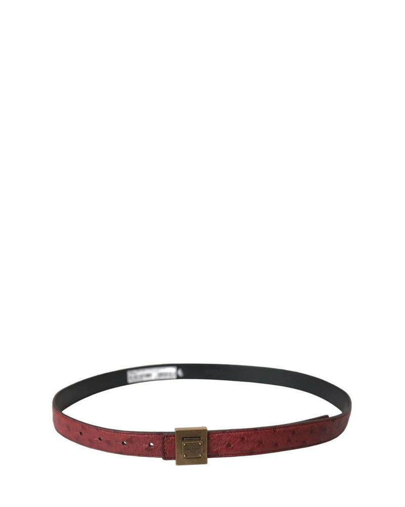 Dolce & Gabbana Belts in brown — view 2