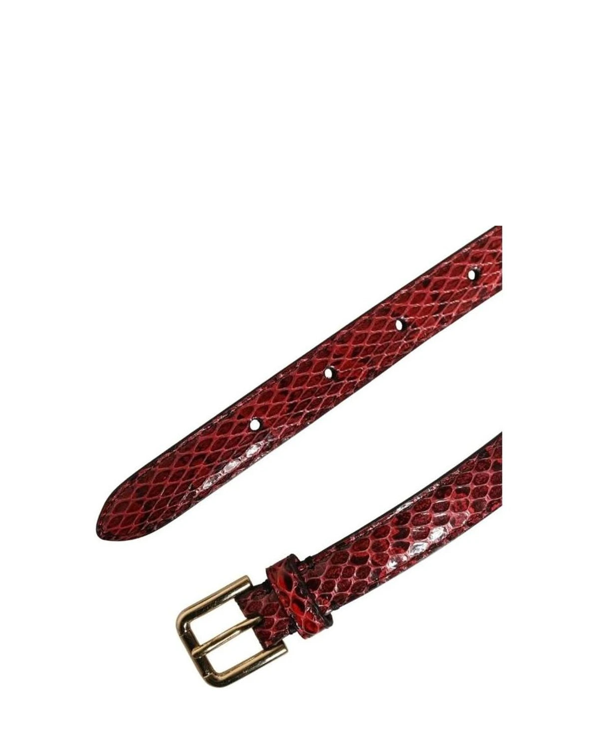 Dolce & Gabbana Belts in multicolor, Cristal Real — view 8