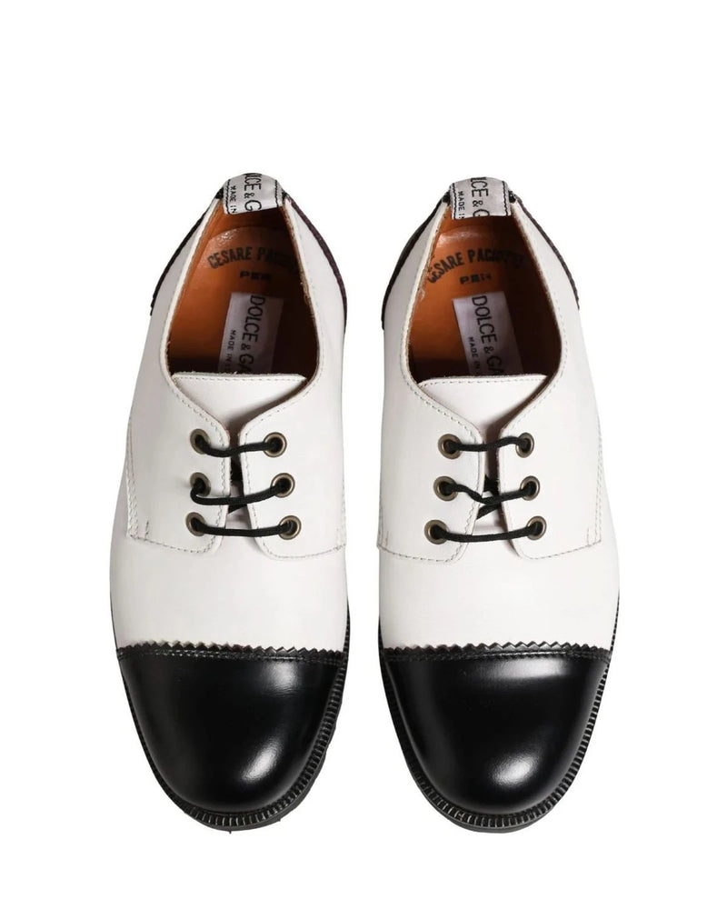 Cesare Paciotti Black Derby Shoes 