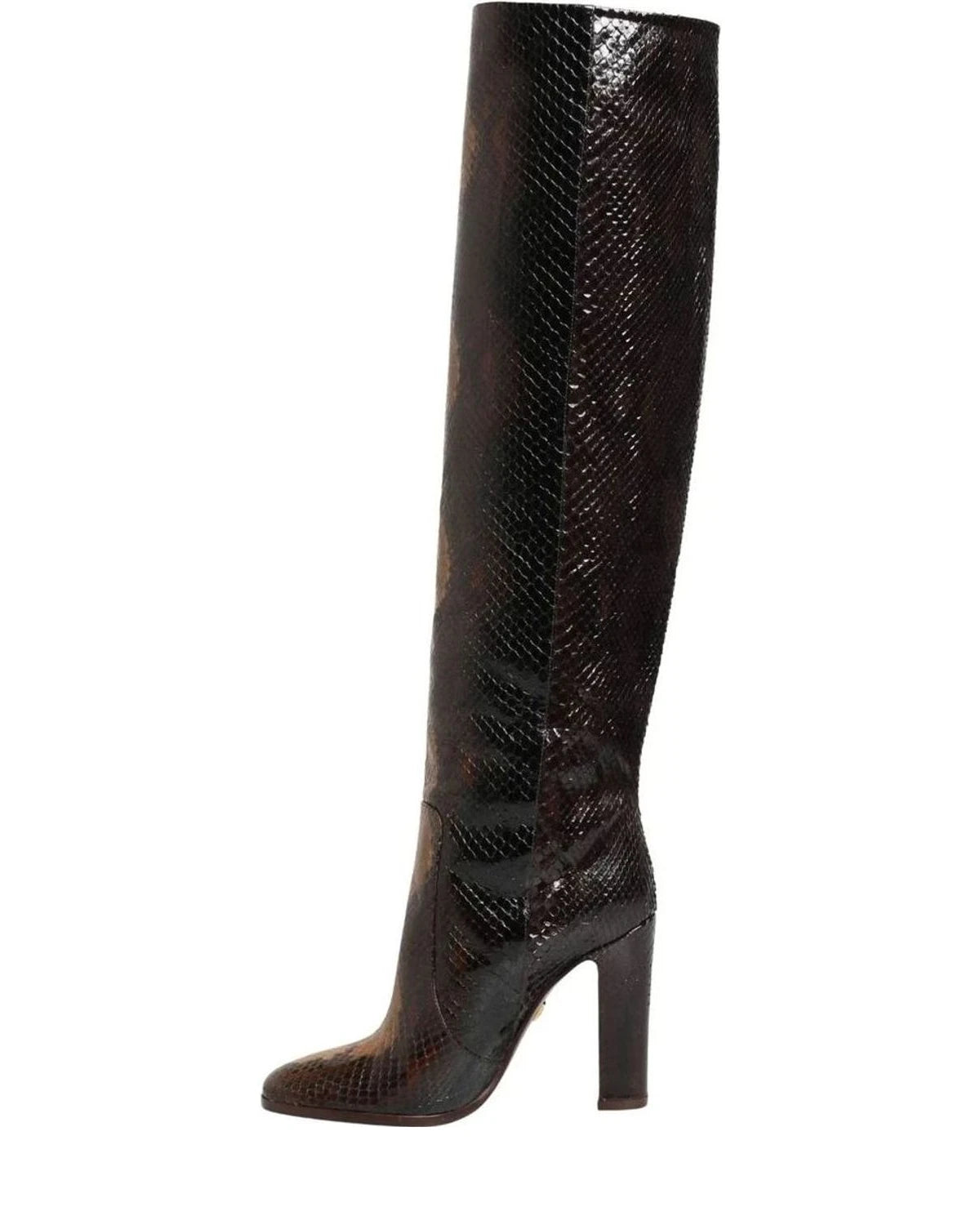 Dolce & Gabbana Exotic Brown Knee High Boots 