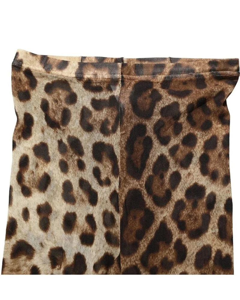 Dolce & Gabbana Pantyhose in brown, Nylon — view 5