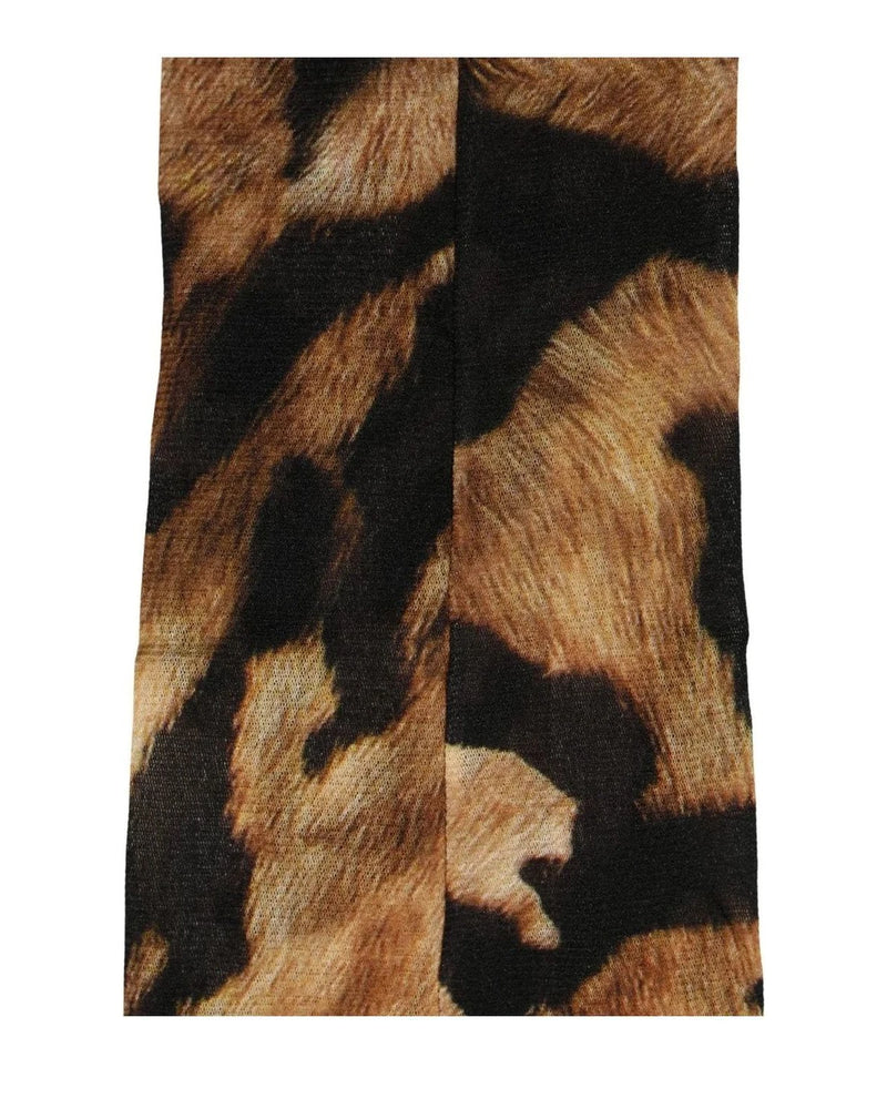 Dolce & Gabbana Pantyhose in brown, Nylon