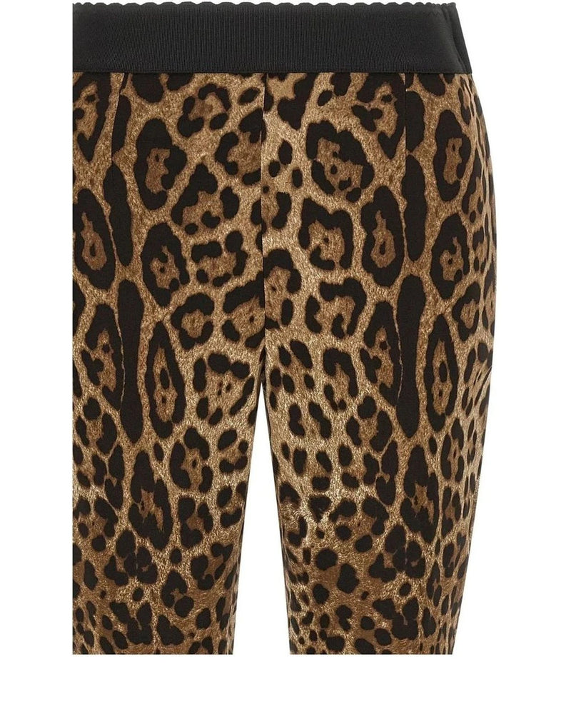 Dolce & Gabbana Legging in brown, Viscose — view 3