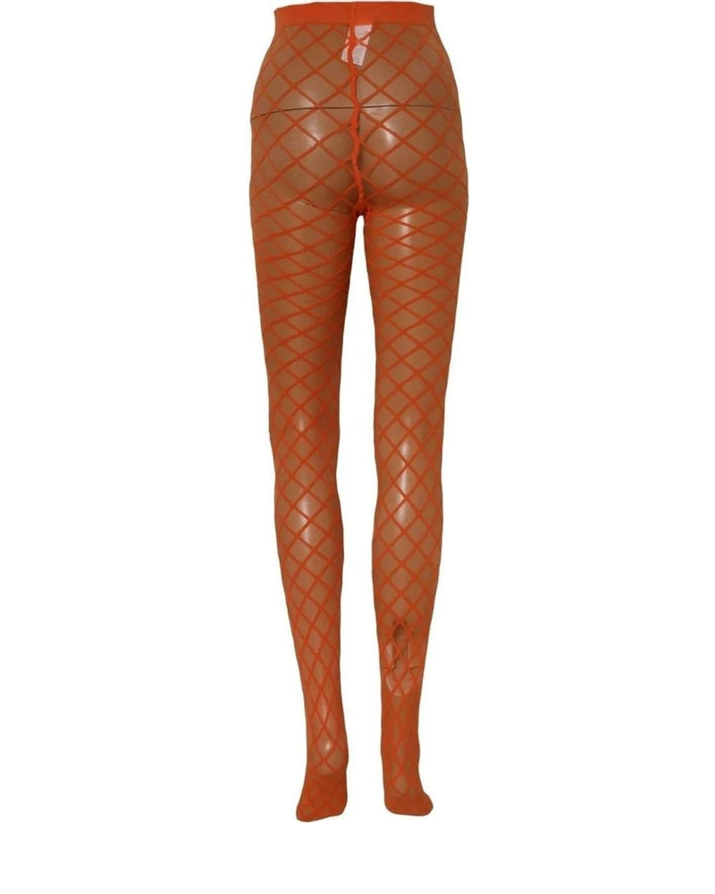 Dolce & Gabbana Pantyhose in orange, Nylon — view 4