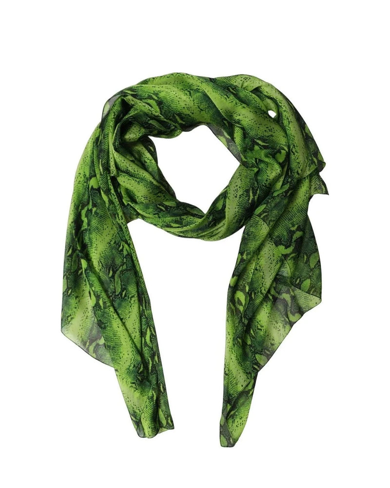 Dolce & Gabbana Scarves & Shawl in green, Silk