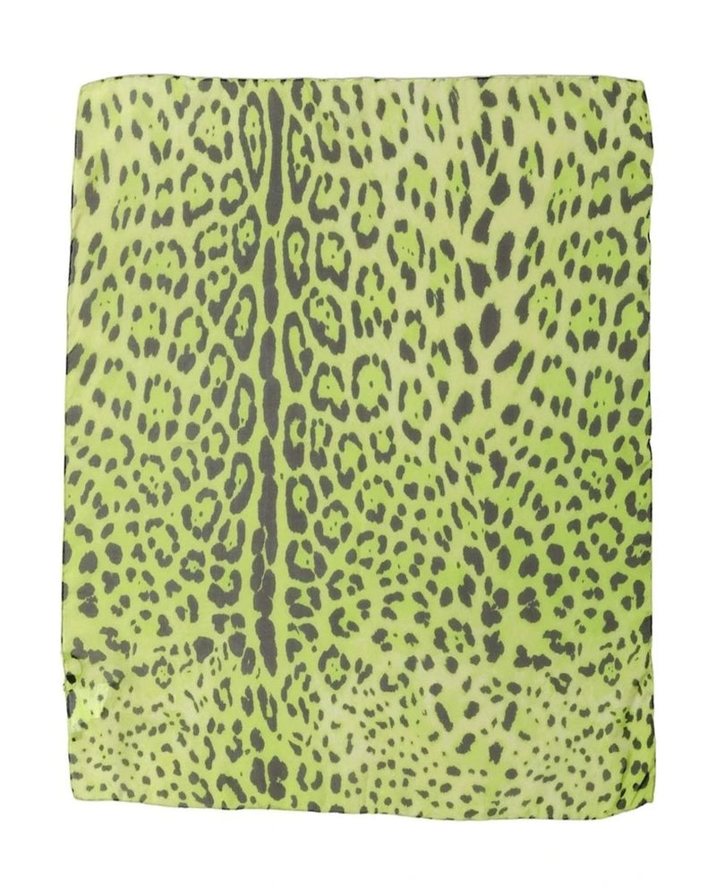 Dolce & Gabbana Scarves & Shawl in green, Silk