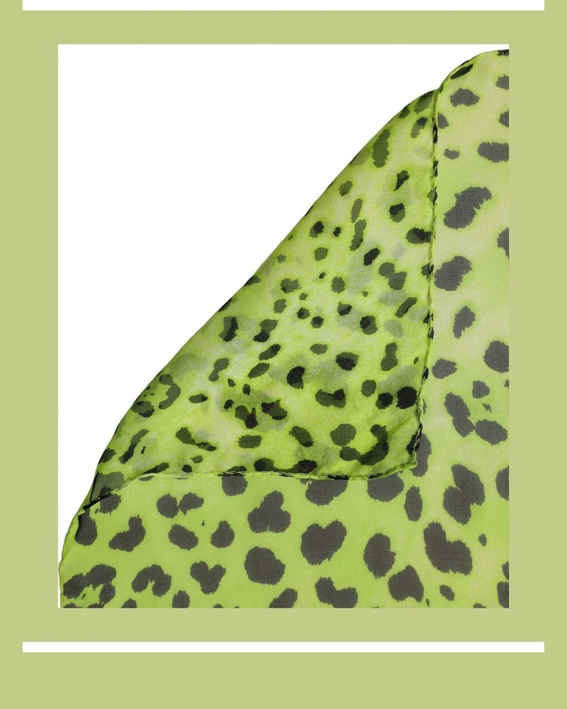 Dolce & Gabbana Scarves & Shawl in green, Silk — view 2