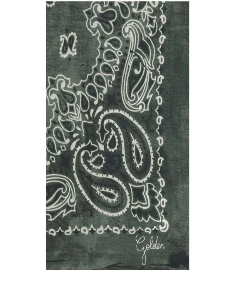 Golden Goose Scarves & Shawl in green, Silk — view 3