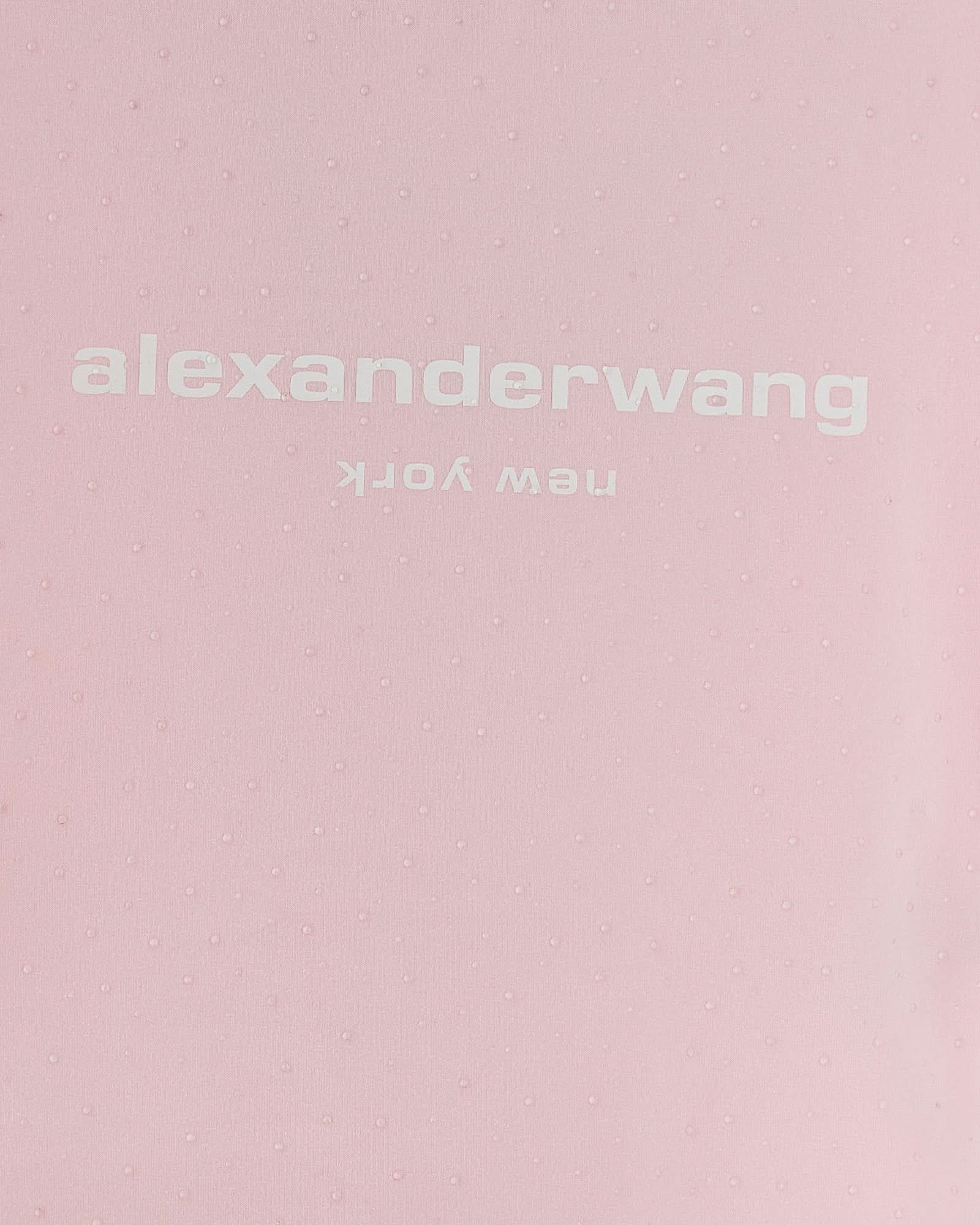 Alexander Wang Logo Baby Tee T-shirt Glam Steals