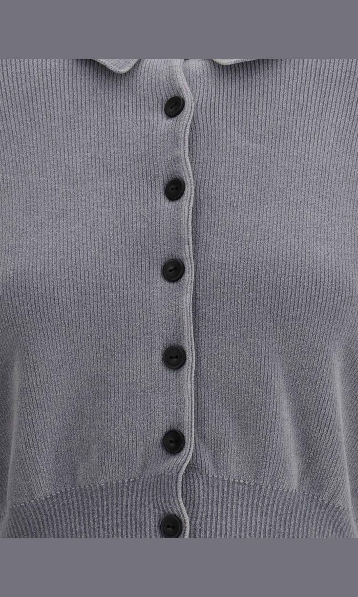 Alexander Wang Polo Cardigan Crop Glam Steals