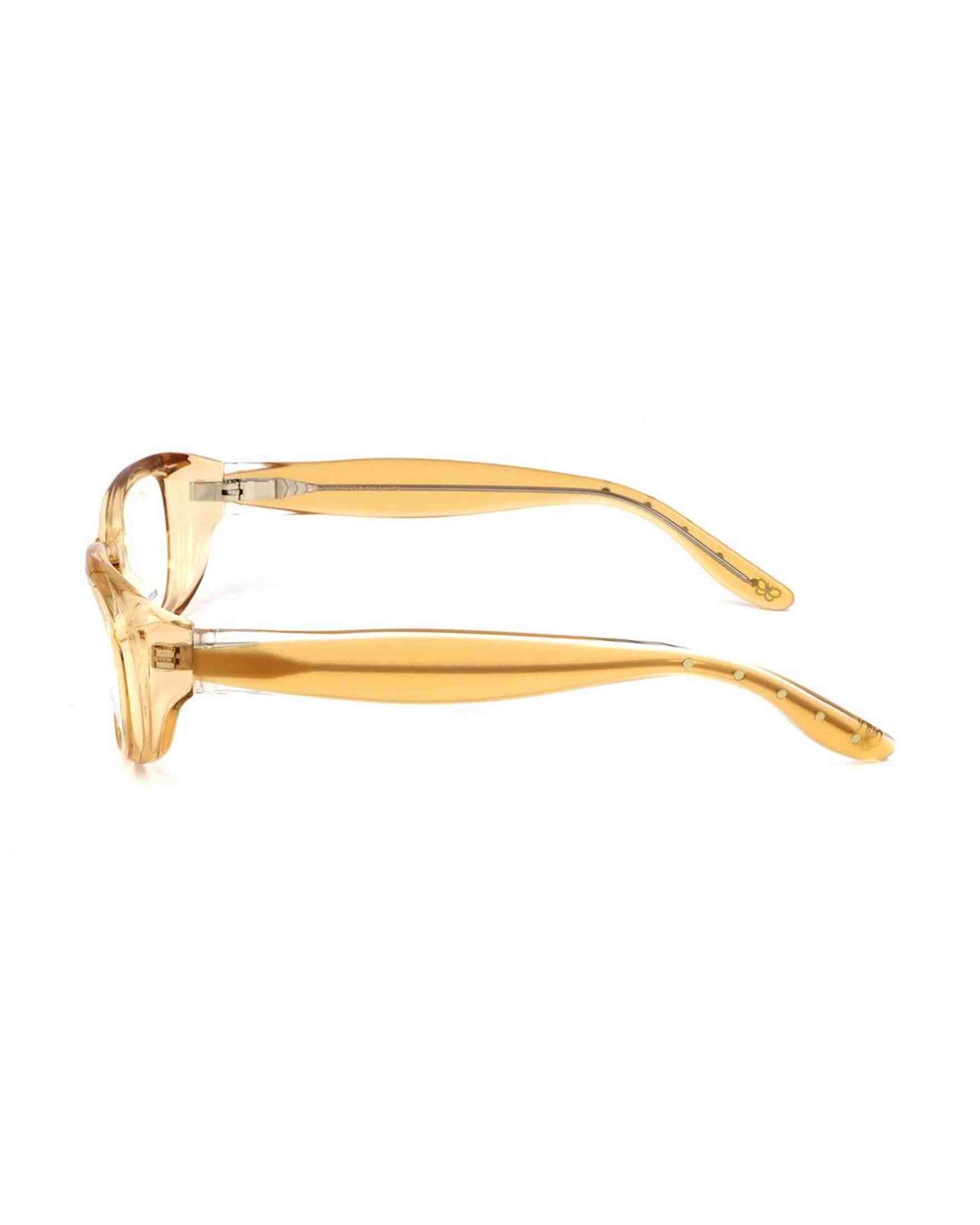 Bottega Veneta Acetate Brown Frame Glam Steals