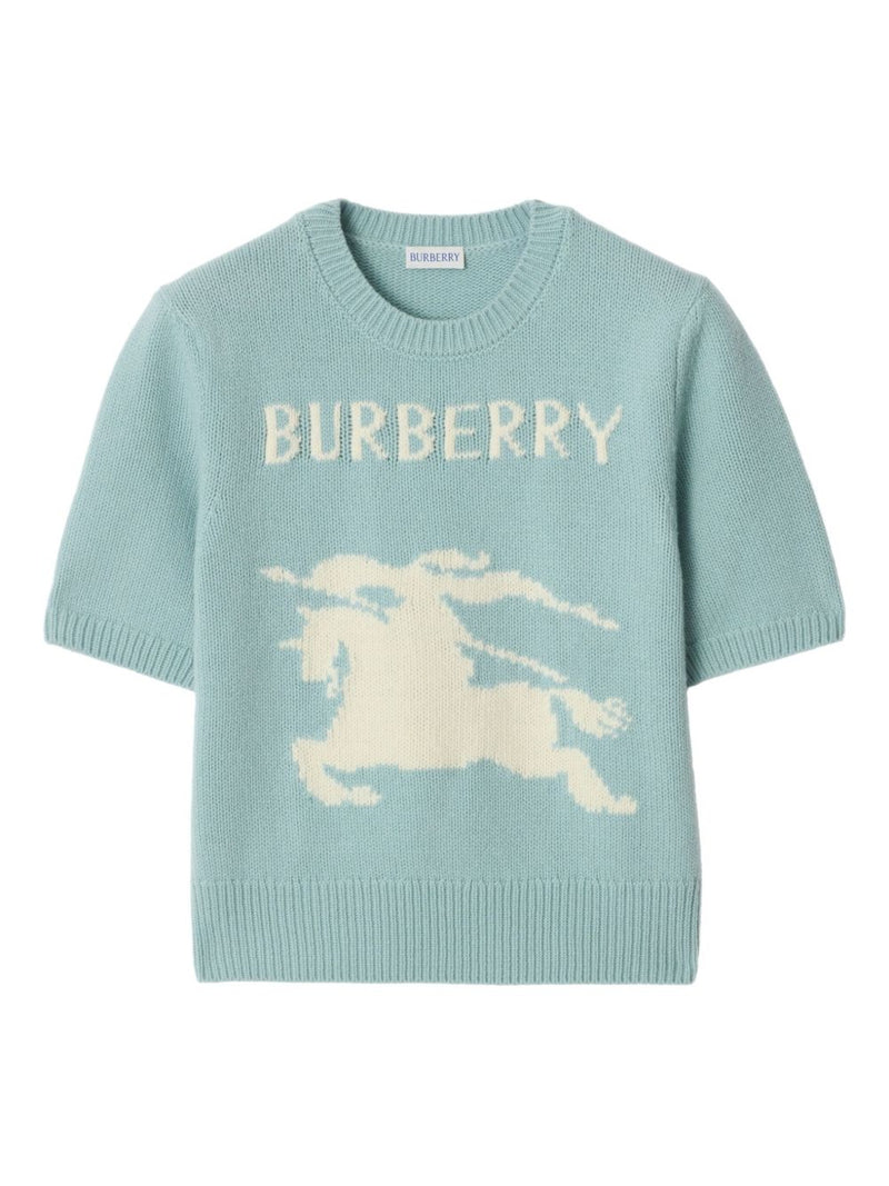 Burberry Clear Blue Polo T-shirt Glam Steals