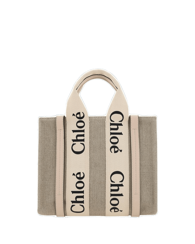 Chloé Brown Canvas Handbag Glam Steals