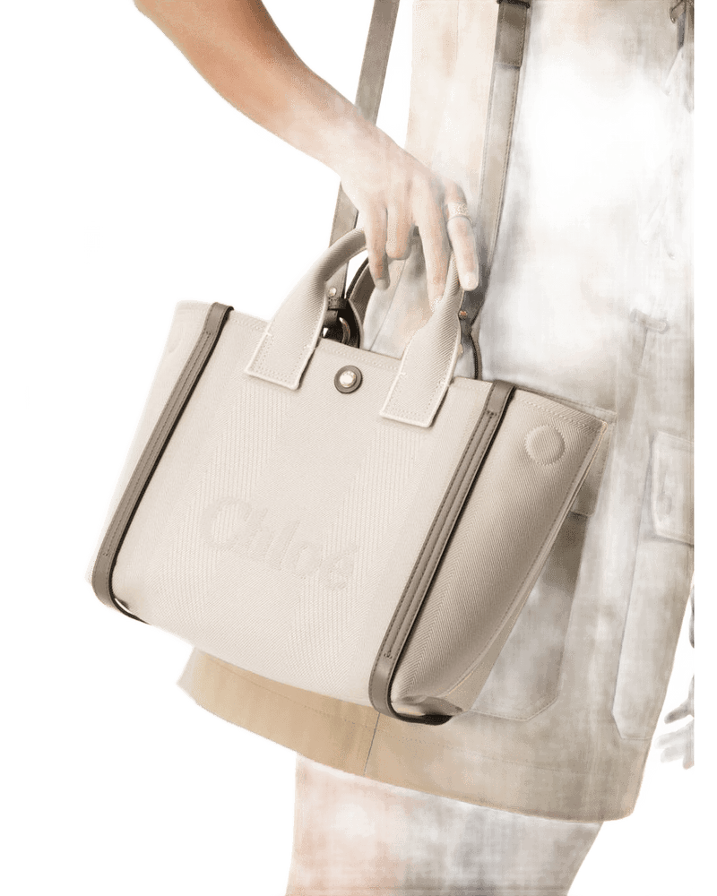 Chloé Canvas Carry Small Tote Bag Glam Steals