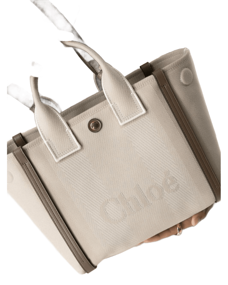 Chloé Canvas Carry Small Tote Bag Glam Steals