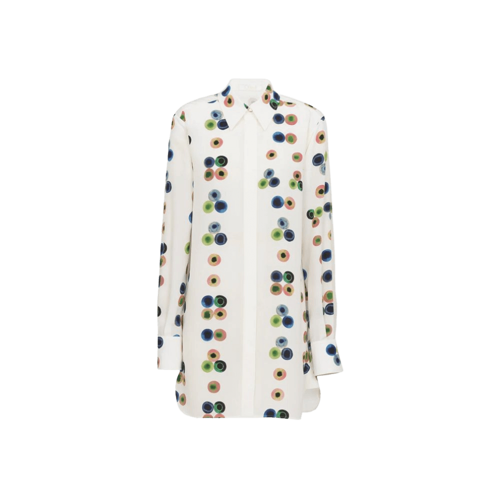 Chloé Chemisier Dress Glam Steals