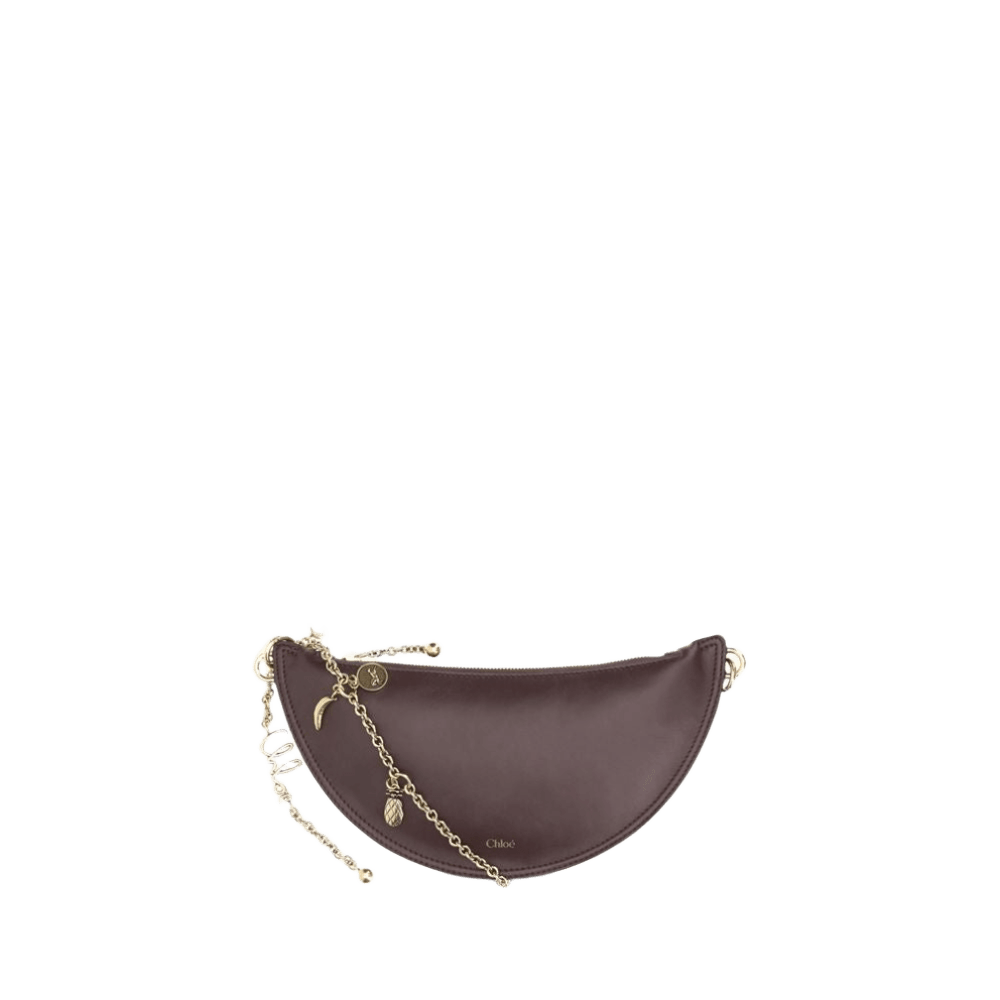 Chloé Icons Shoulder Bag Glam Steals