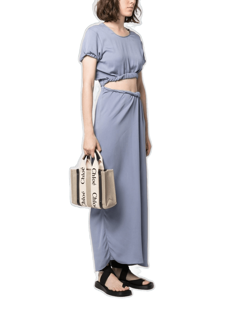 Chloé Linen Woody Mini Tote Bag Glam Steals