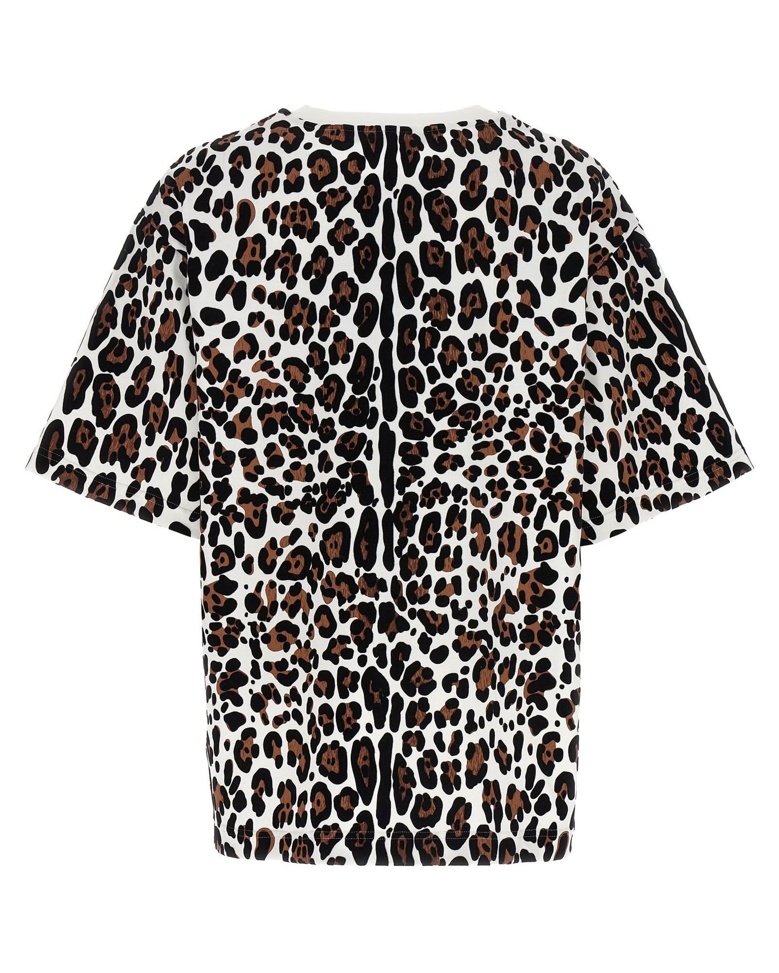 Dolce & Gabbana Animal Print Logo Plaque T-shirt Glam Steals