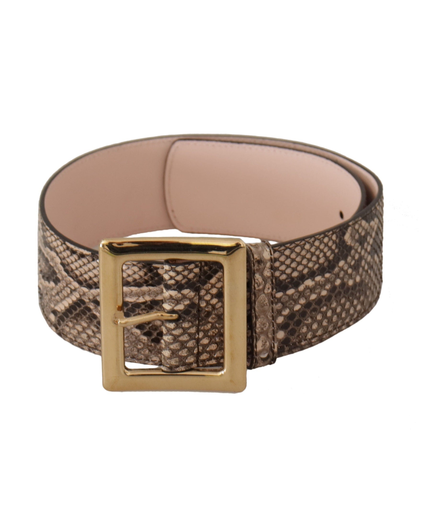 Dolce & Gabbana Beige Leather Exotic Wide Gold Metal Buckle Belt Glam Steals